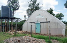 The school's greenhouse