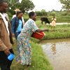 Accolade for Aqua Shops