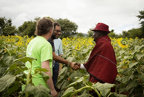 Andoni Luis Aduriz and Gaggan Anand meeting Timothy, a Tanzanian farmer working with support from Farm Africa to trial the use of a new type of hybrid sunflower seed on two acres of farmland. This type of seed produces more drought-tolerant sunflowers with larger heads and higher yields of seeds. 