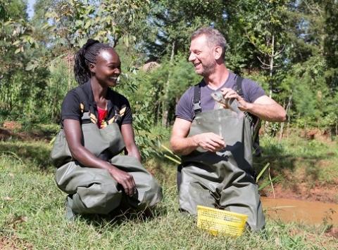 Chef Luke Dale-Roberts travelled to western Kenya to meet fish farmers working with Farm Africa. He helped out with a fish harvest at a fish farm managed by Suzanna, whose family has received support from Farm Africa’s Kenya Market-led Aquaculture Programme. 