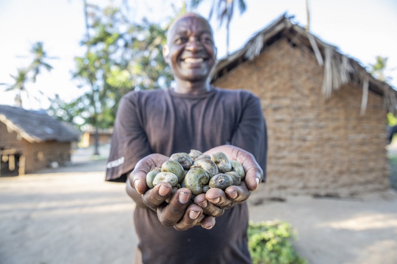 We’re helping 15,000 farmers plant 1,000,000 cashew trees in coastal Kenya