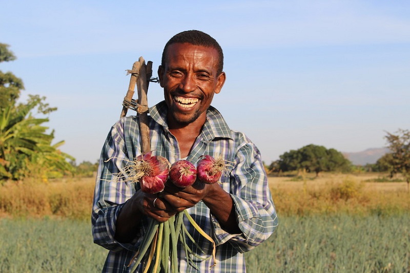 We trained 6,977 people in southern Ethiopia in climate-smart agriculture