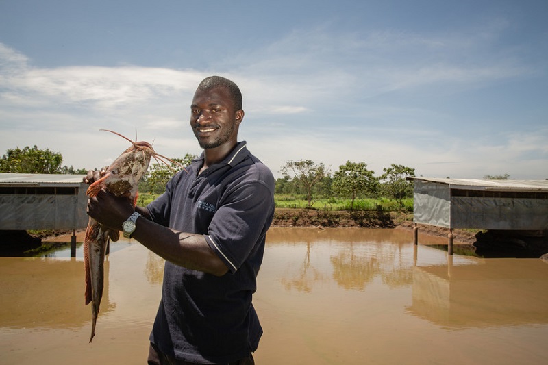 Profitability amongst the best performing fish farmers more than doubled to 77%