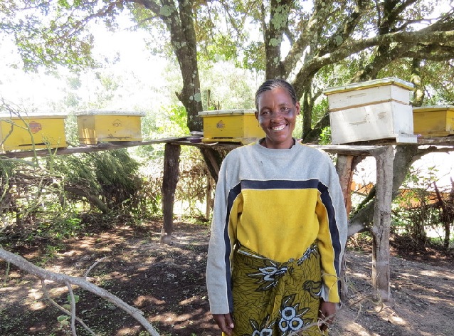 Marietha Petro with beehives in the Manyara region of Tanzania. Marietha took part in Farm Africa’s Nou Forest Management Project, which set up forest-based livelihoods like beekeeping to help forest-dependent communities reduce pressure on the forest.