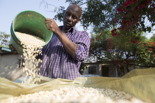 "The quality of the maize is higher now we use the waterproof sacks because it doesn’t get contaminated with soil, sand and thorns. And the project taught us how to sort the maize." - John, Tanzania