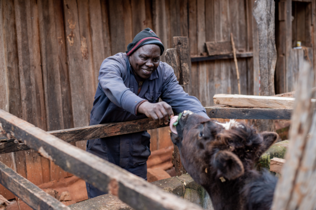 "Farm Africa have taught me how to incorporate climate-smart soil and water conservation techniques into my farming practice, which I have been able to teach others too. Whatever the season, I always have food on my farm." - Justus,  Kenya