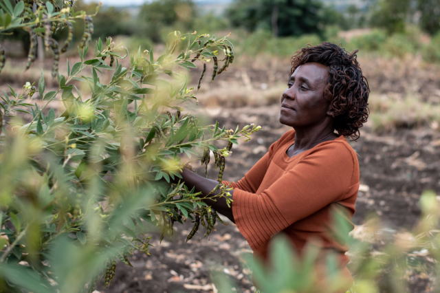 "Those who follow Farm Africa’s [farming] methods have seen a positive change and their harvests increased." - Margaret, Kenya