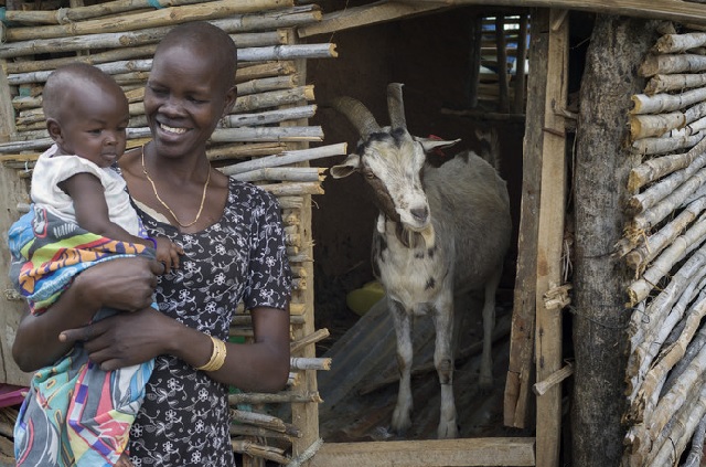 Grace Chegem with her baby Nyangoro and the buck she received when taking part in Farm Africa's Livestock for Livelihoods project in Napak district, Uganda. “Farm Africa has brought empowerment to me as a woman. Long ago, only men had goats. Women had only small livestock. We are very proud of Farm Africa for letting us not be ruled by men any more.” – Grace Chegem. Photo: Chris de Bode/Panos Pictures for Farm Africa.