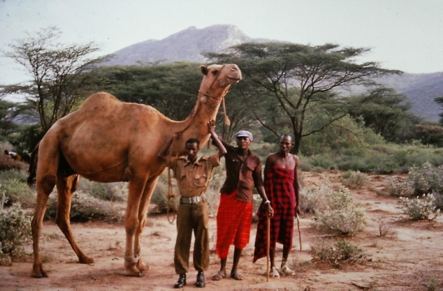 Early projects included a camel project launched in Kenya in 1987.