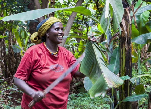 Farm Africa's forestry projects help local communities to establish sustainable businesses that help conserve forests for future generations.