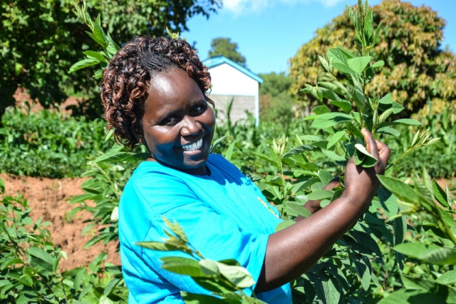 Farm Africa now has programmes in four countries in eastern Africa: Ethiopia, Kenya, Tanzania and Uganda.