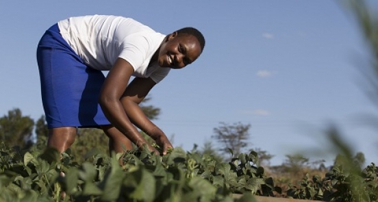 Could youth be the missing link to Kenyan food security?