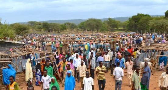 Making Markets Work for Smallholder Farmers 