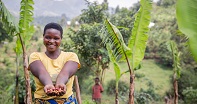 Women's access to land