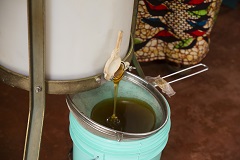 Bermi honey