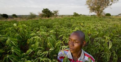 Climate resilience