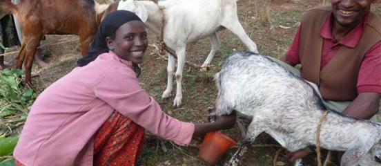 Working with women in Ethiopia to end poor nutrition