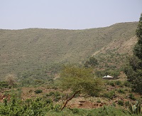 Tigray