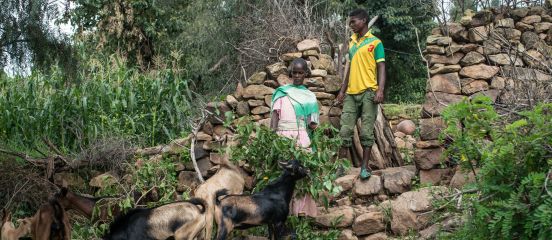 Women create a greener, more prosperous future in Tigray, Ethiopia
