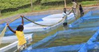 Guide to profitable fish farming