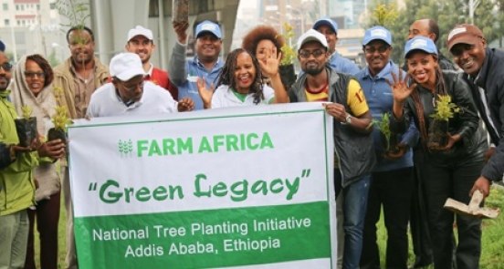 How lasting will Ethiopia's Green Legacy be?
