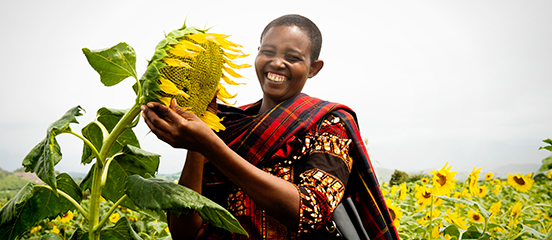 New project with UN Women will empower women in Tanzania's sunflower sector