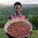 Empowering women in the coffee sector in Uganda