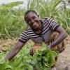 Farm Africa at COP27