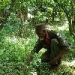 Farm Africa and SOS Sahel Ethiopia launch major forest conservation programme