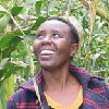 Restoring soil health in Kenya