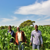 Managing the landscape in the Central Rift Valley