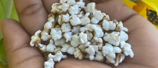 Value added snax… Tanzanian sorghum growers' new take on popcorn 