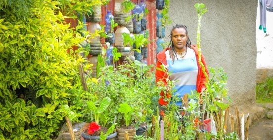 Sihen surrounded by pots growing vegetables in Addis Ababa