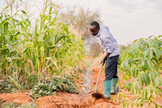 use of irrigation on farm in Dodoma