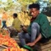 Market engagement propels Ethiopian farmers to success