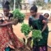  Chamwino female farmers mean business