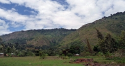 Postcard from Tanzania: Struggles for smallholder farmers