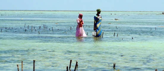 Postcard from Zanzibar - Changing lives in paradise