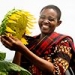 New project with UN Women will empower women in Tanzania's sunflower sector