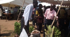 Postcard from Uganda: Farmers making the most of Expo opportunities