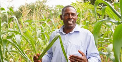 Learn how we build food security