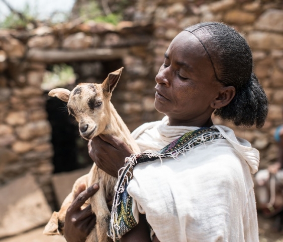 Ethiopian farmer, Mebrehit Mebrahtoa, holds baby goat. Photo: Nichole Sobecki.