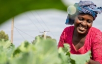 Why a food-secure future means focusing on smallholder farmers