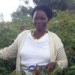 Cassava recipe for healthy harvests in Kenya
