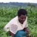 Growing incomes for Kenya's young vegetable farmers