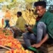 Market engagement propels Ethiopian farmers to success