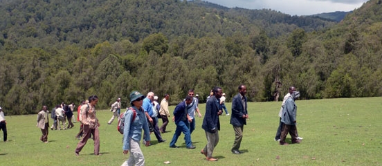 Postcard from Ethiopia: Eleven countries, one REDD+ forest challenge