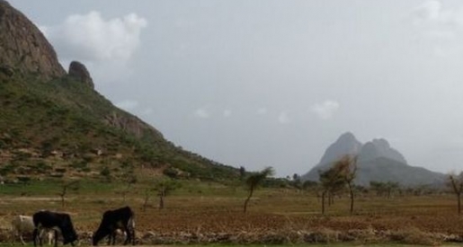 A visit to Farm Africa's work in Tigray