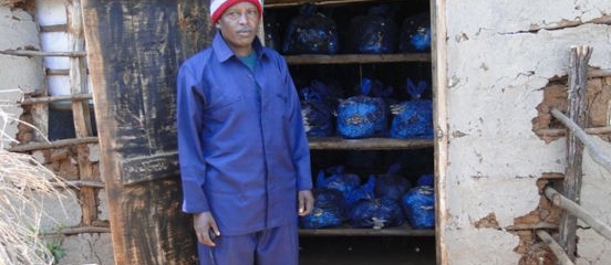 Mushrooming incomes for Tanzanian farmers