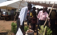 Postcard from Uganda: Farmers making the most of Expo opportunities